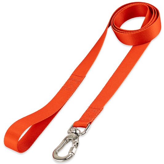 Guia para Cachorros Vermelho Basic Pet