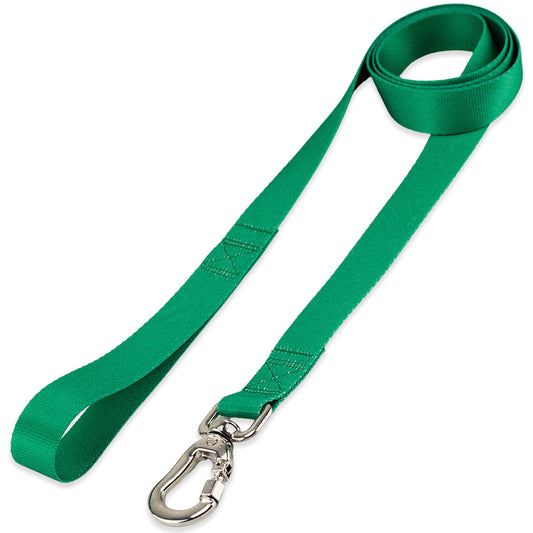 Guia para Cachorros Verde Basic Pet
