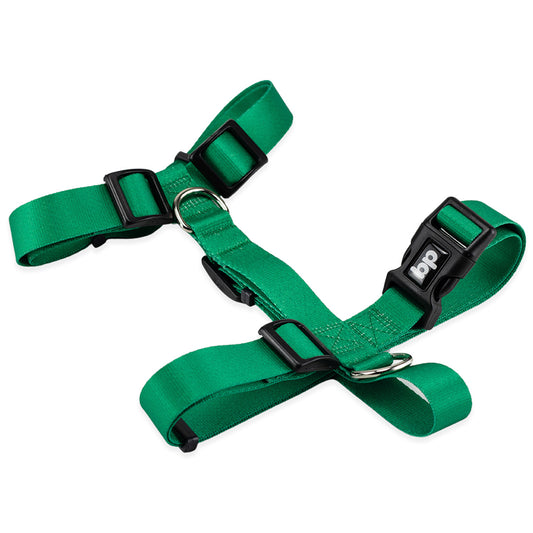 Peitoral para Cachorros H Verde Basic Pet