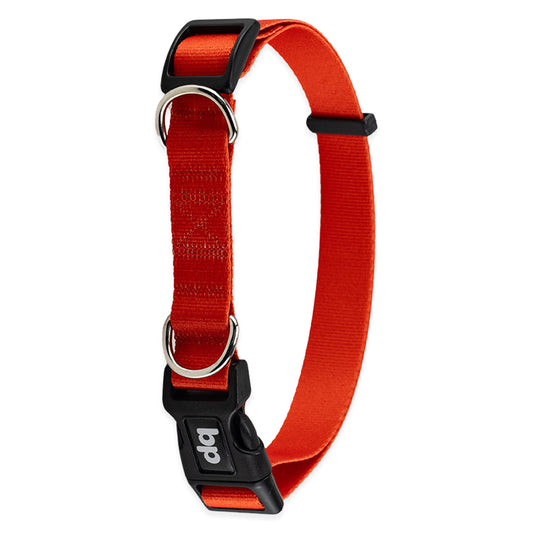 Coleira para Cachorros Vermelho Basic Pet